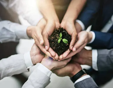 Sustainable Growth