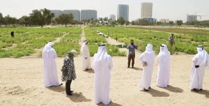 How to Start a Profitable Agricultural Business in the UAE (2025 Guide)