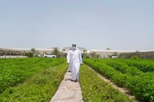 Agricultural Business in Dubai 2025: Complete License Types, Process, and Benefits